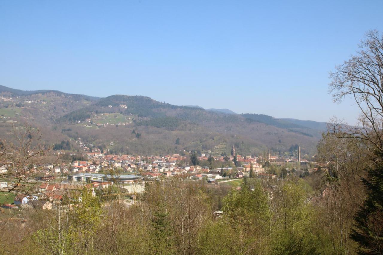 Gite Le Chataignier Luttenbach-près-Munster Buitenkant foto